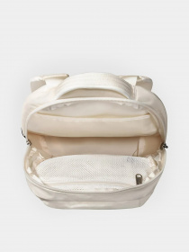 Рюкзаки The North Face модель NF0A52SWQ4C1 Фото