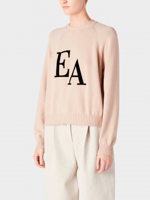 Худи и свитшоты Emporio Armani модель 8N2MYL-2MA6Z-0213 Фото
