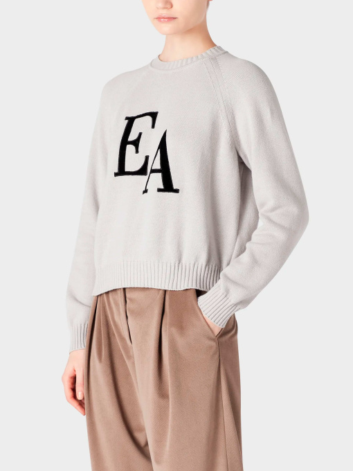 Худи и свитшоты Emporio Armani модель 8N2MYL-2MA6Z-0605 Фото