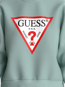 Худи и свитшоты GUESS модель W2YQ16-KBA10-G8DD Фото