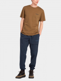 Брюки Timberland модель TB0A6M59433 Фото