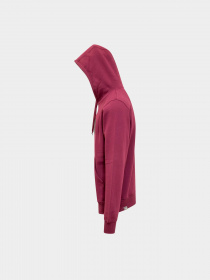 Худи и свитшоты The North Face модель NF00AHJYI0H1 Фото