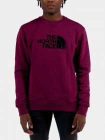 Худи и свитшоты The North Face модель NF0A4SVRI0H1 Фото