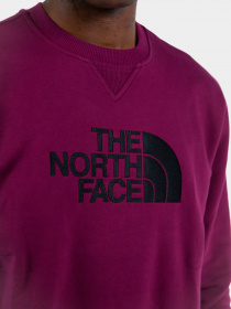 Худи и свитшоты The North Face модель NF0A4SVRI0H1 Фото