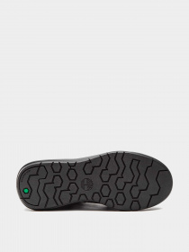 Кеды Timberland модель TB0A2M8Q015 Фото