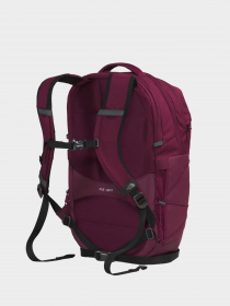 Рюкзаки The North Face модель NF0A52SIOHE1 Фото