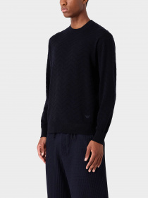 Худи и свитшоты Emporio Armani модель 6R1MX9-1MCWZ-F979 Фото