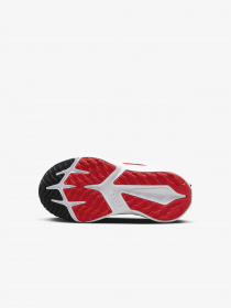Кроссовки NIKE модель DX7614-600 Фото