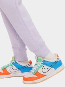 Брюки NIKE модель DC7207-536 Фото
