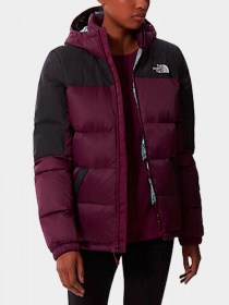 Куртки и дубленки The North Face модель NF0A55H4KK91 Фото