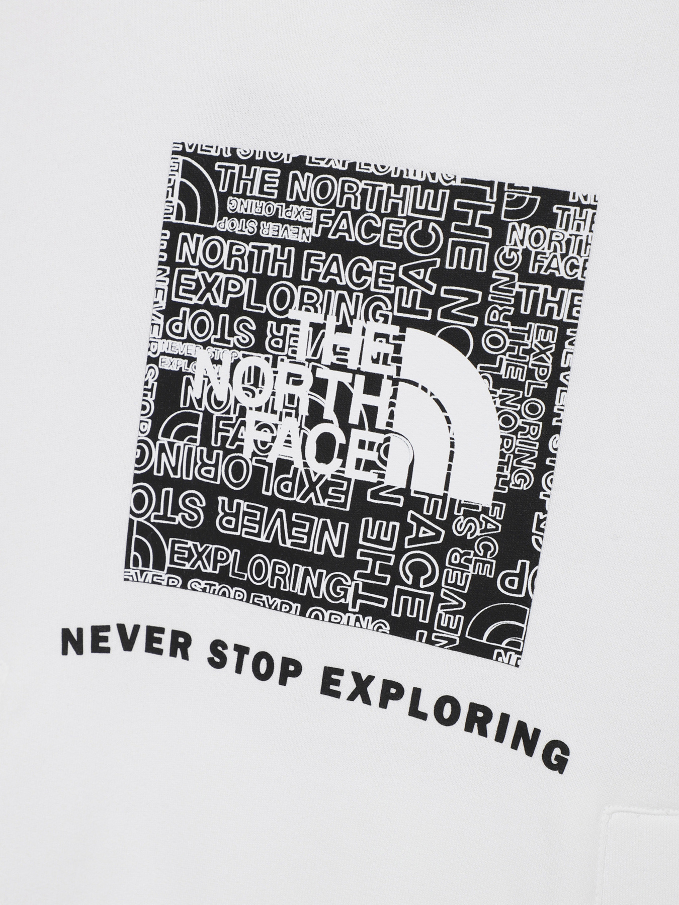 Худи и свитшоты The North Face модель NF0A855BLA91 Фото