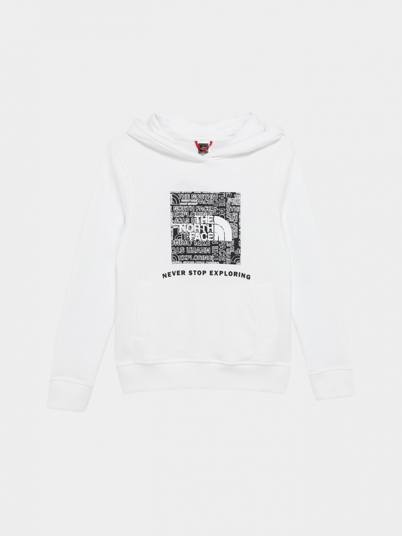 Худи и свитшоты The North Face модель NF0A855BLA91 Фото