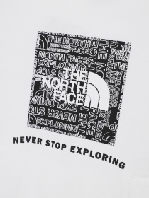 Худи и свитшоты The North Face модель NF0A855BLA91 Фото