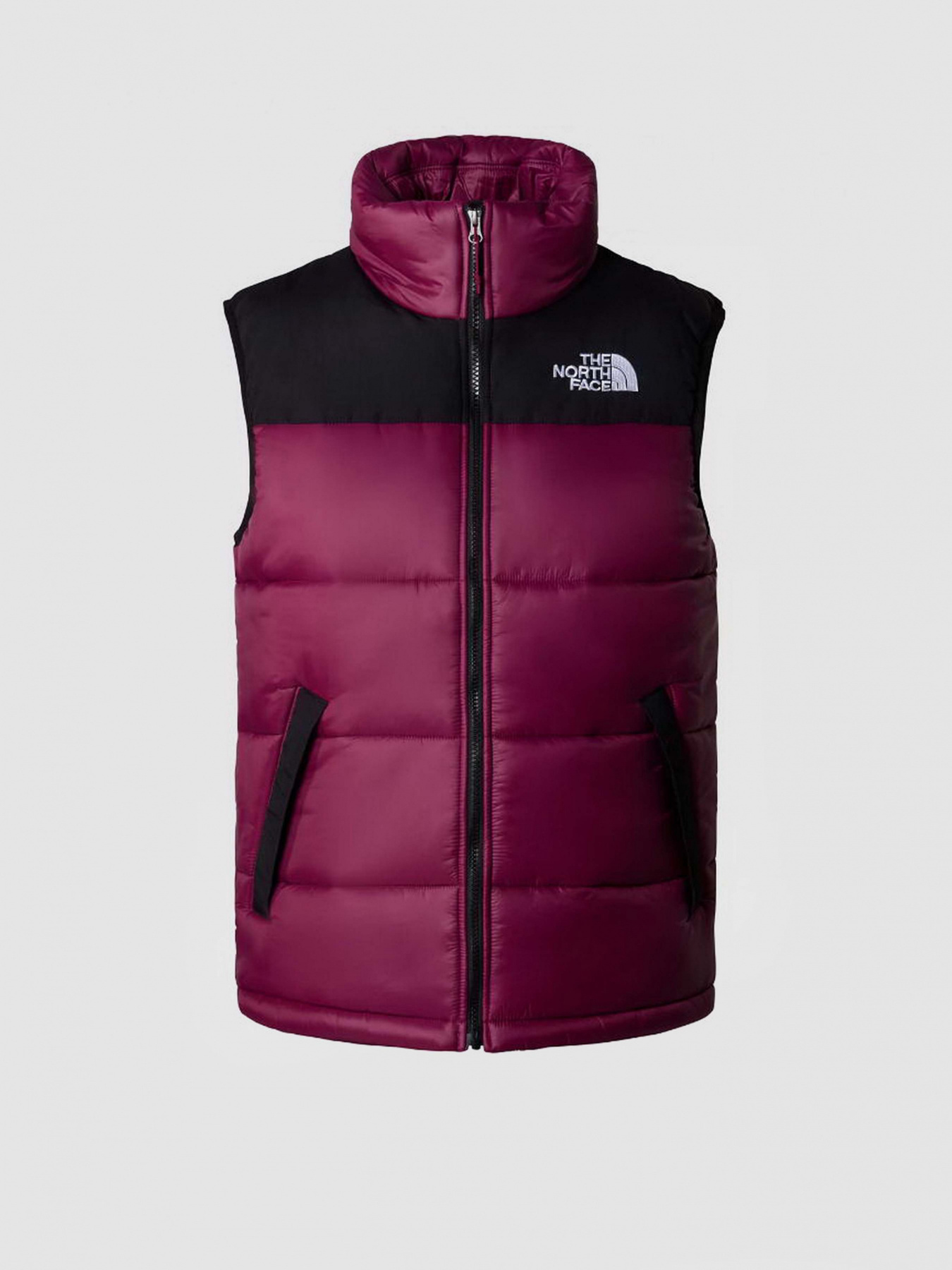 Куртки и дубленки The North Face модель NF0A4QZ4KK91 Фото