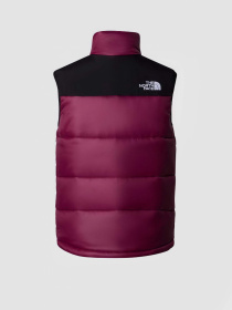 Куртки и дубленки The North Face модель NF0A4QZ4KK91 Фото
