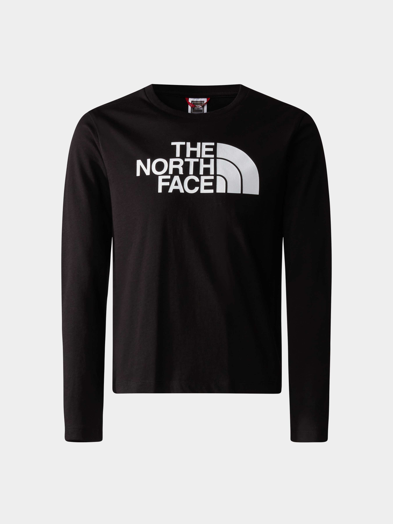 Худи и свитшоты The North Face модель NF0A855CJK31 Фото