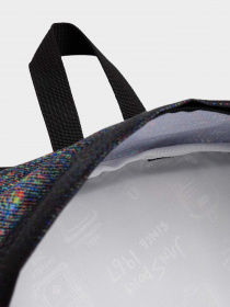 Рюкзаки JanSport модель EK0A5BAG6E41 Фото