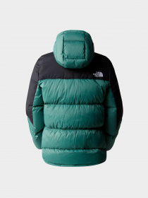 Куртки и дубленки The North Face модель NF0A55H4KIB1 Фото