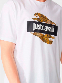 Футболки и поло Just Cavalli модель 74OBHF07-CJ200-G03 Фото