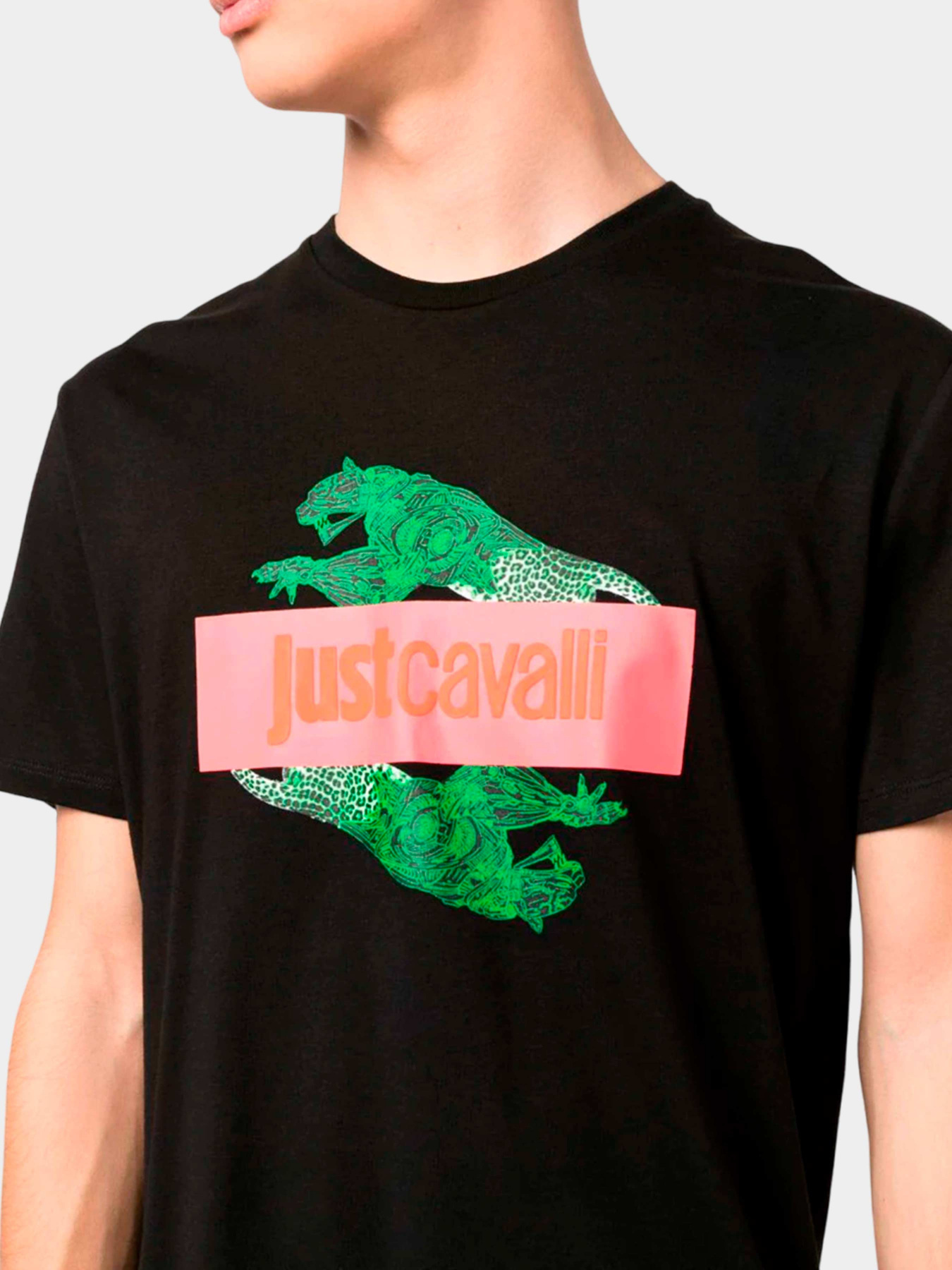 Футболки и поло Just Cavalli модель 74OBHF08-CJ200-899 Фото