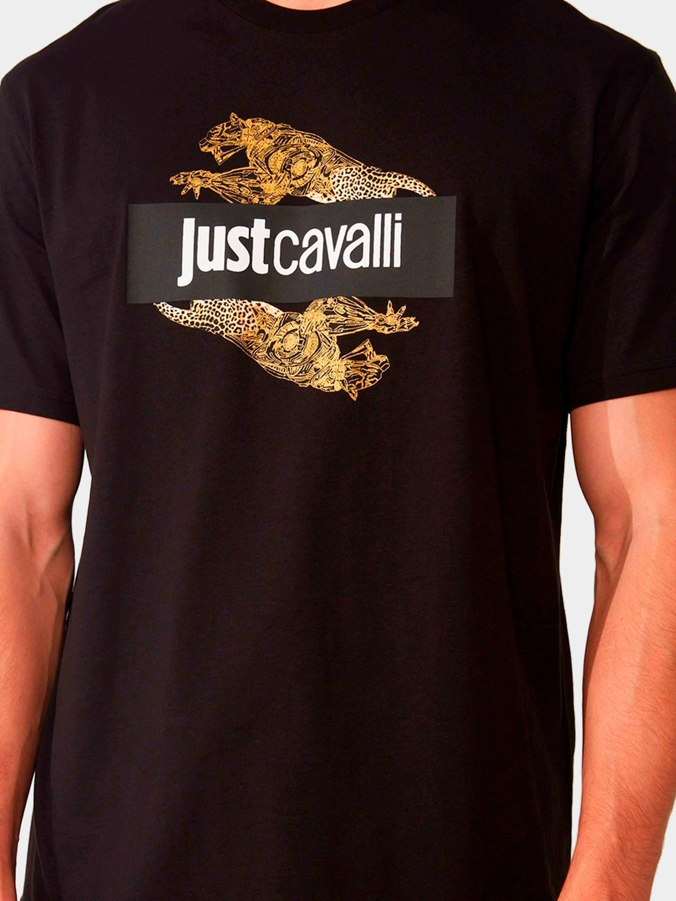 Футболки и поло Just Cavalli модель 74OBHF07-CJ200-G89 Фото