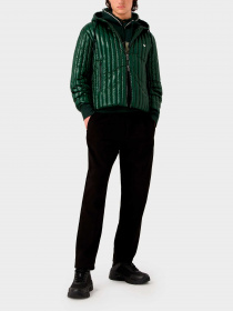 Куртки и дубленки Emporio Armani модель 6R1B79-1NKZZ-0565 Фото