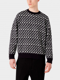Худи и свитшоты Emporio Armani модель 6R1MU2-1MMKZ-F905 Фото