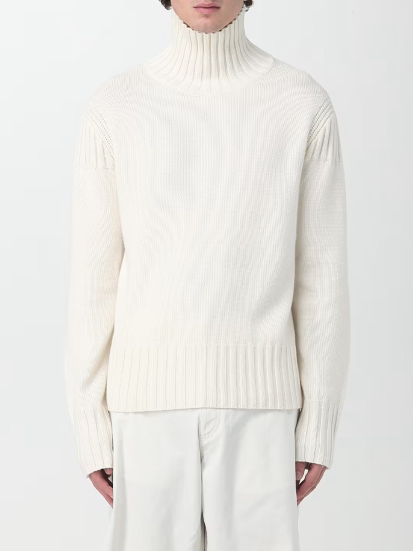 Худи и свитшоты Emporio Armani модель 8N1MVC-1M82Z-0101 Фото