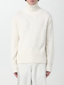 Худи и свитшоты Emporio Armani модель 8N1MVC-1M82Z-0101 Фото