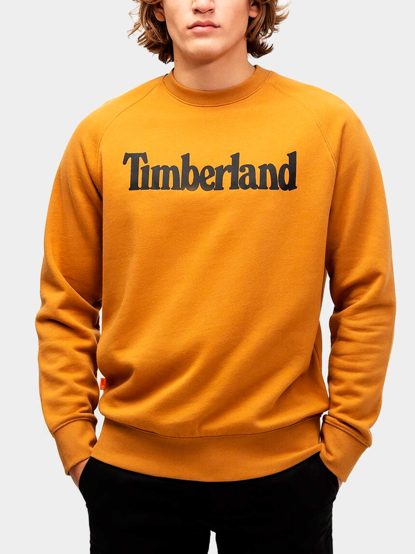 Худи и свитшоты Timberland модель TB0A2C6HP47 Фото