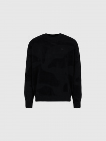 Худи и свитшоты Emporio Armani модель 6R1MXM-1MNHZ-0999 Фото