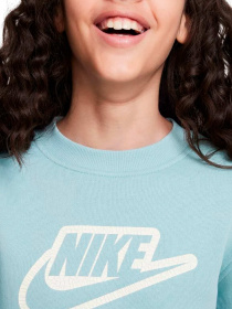 Худи и свитшоты NIKE модель FD3182-309 Фото