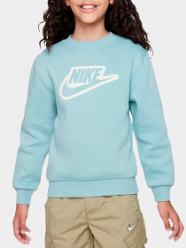 Худи и свитшоты NIKE модель FD3182-309 Фото