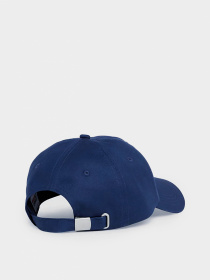 Шапки и кепки Tommy Hilfiger модель AM0AM09000-C87 Фото