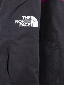 Брюки The North Face модель NF0A5G9MXD11 Фото