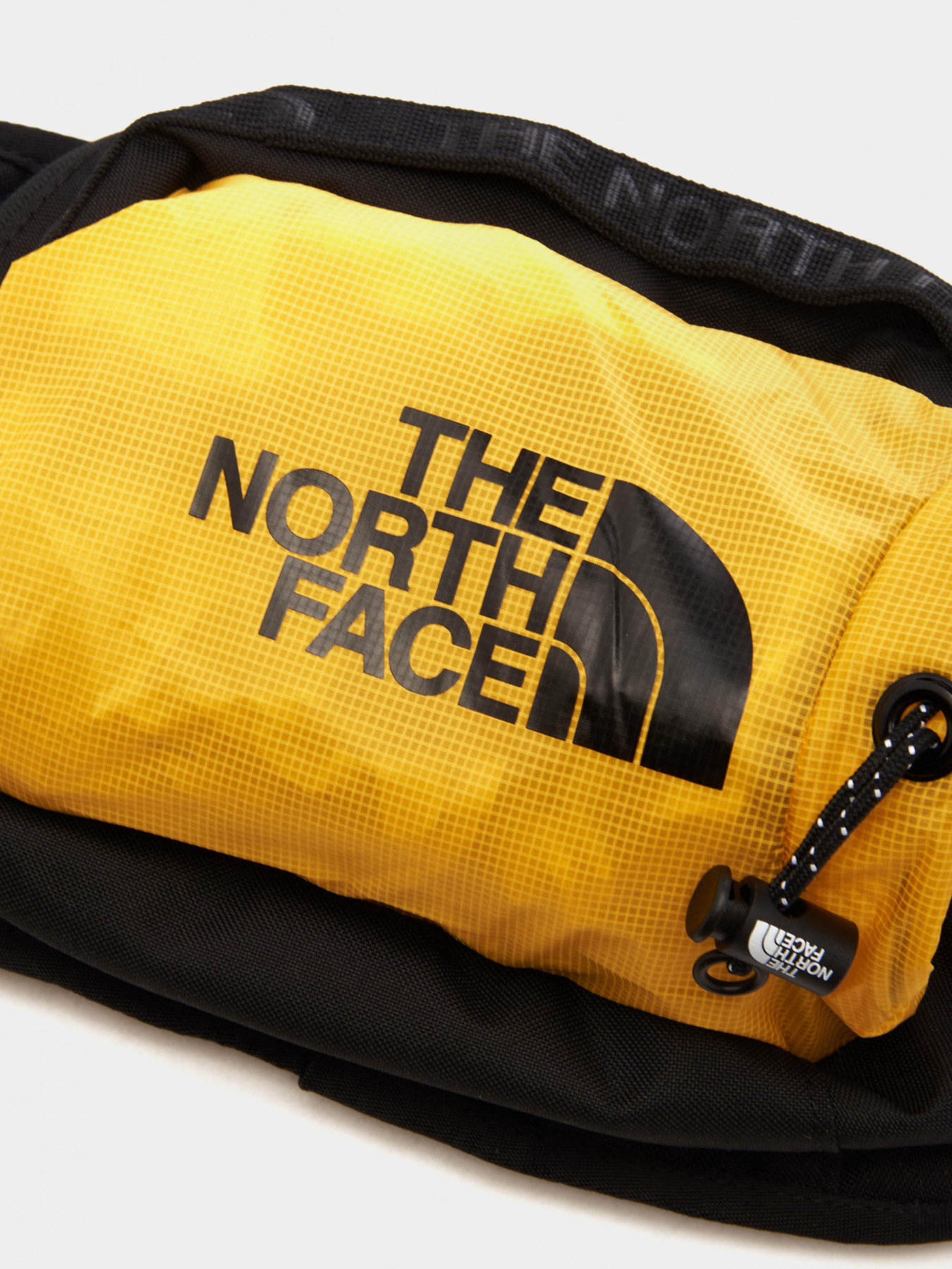 Сумки The North Face модель NF0A52RWZU31 Фото
