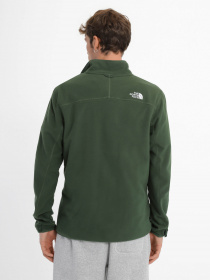 Худи и свитшоты The North Face модель NF0A855XI0P1 Фото