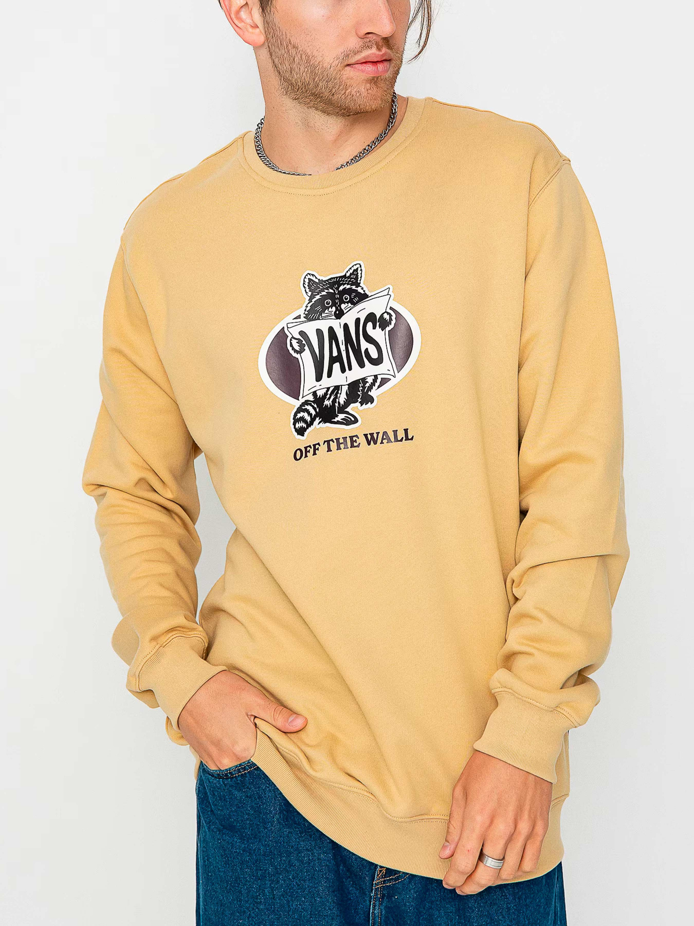 Худи и свитшоты Vans модель VN0008HVYUU1 Фото