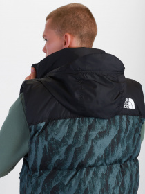 Куртки и дубленки The North Face модель NF0A5IX529L1 Фото