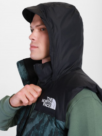 Куртки и дубленки The North Face модель NF0A5IX529L1 Фото