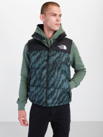 Куртки и дубленки The North Face модель NF0A5IX529L1 Фото
