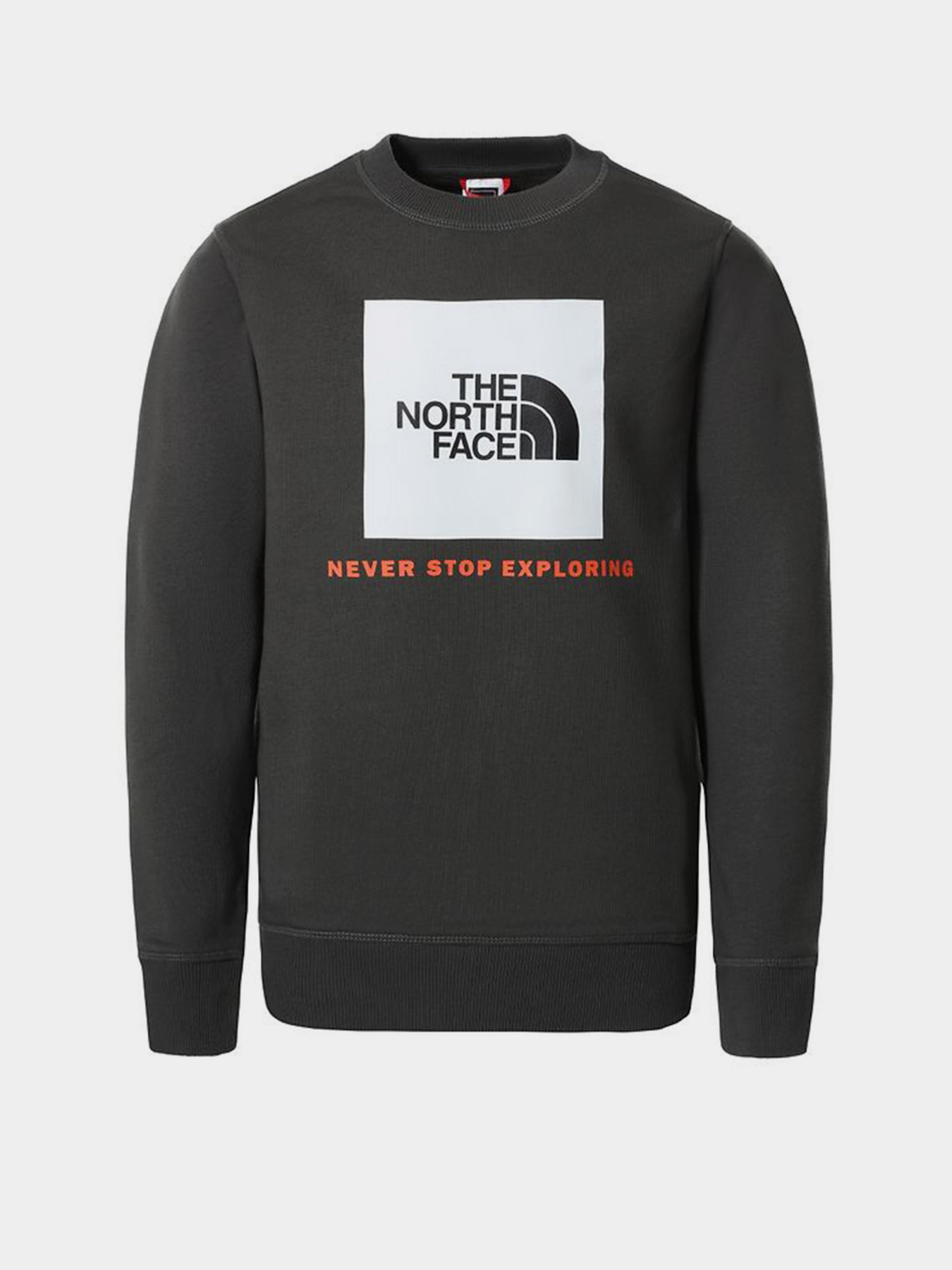 Худи и свитшоты The North Face модель NF0A37FYUG31 Фото