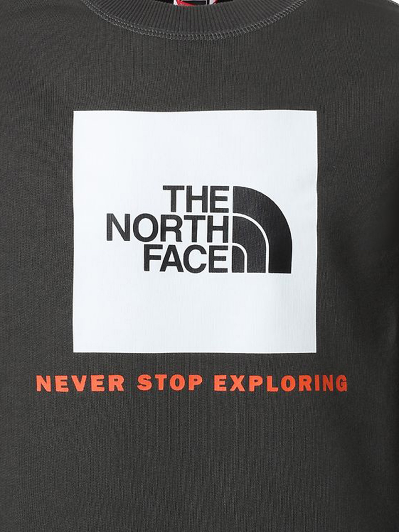 Худи и свитшоты The North Face модель NF0A37FYUG31 Фото
