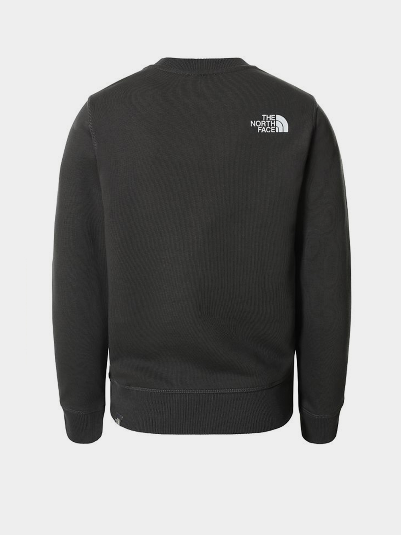 Худи и свитшоты The North Face модель NF0A37FYUG31 Фото