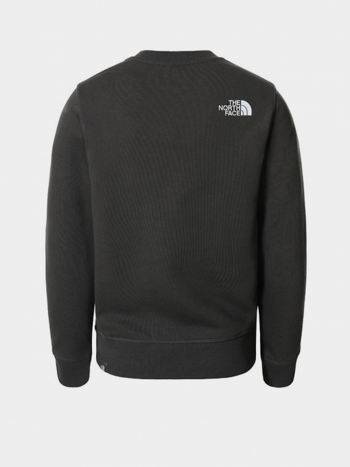 Худи и свитшоты The North Face модель NF0A37FYUG31 Фото