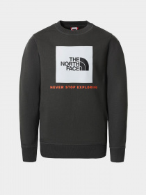 Худи и свитшоты The North Face модель NF0A37FYUG31 Фото