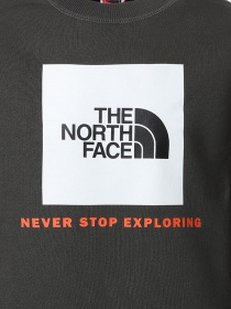 Худи и свитшоты The North Face модель NF0A37FYUG31 Фото