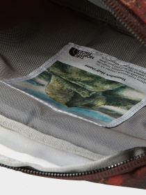 Сумки The North Face модель NF0A52VUOSO1 Фото