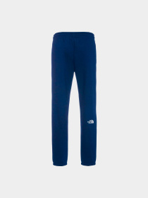 Брюки The North Face модель NF0A7ZJB8K21 Фото
