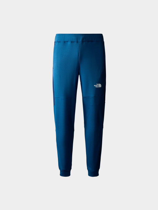 Брюки The North Face модель NF0A823U9261 Фото